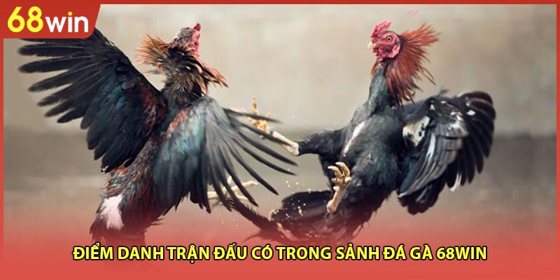 Điểm danh trận đấu có trong sảnh Đá gà 68WIN