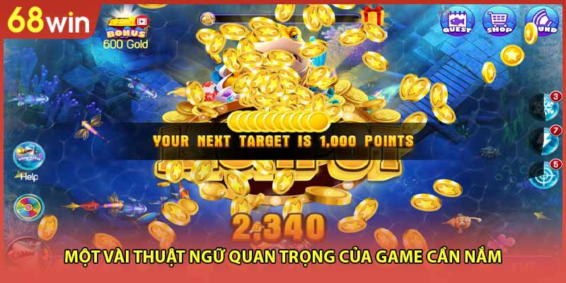Một vài thuật ngữ quan trọng của game cần nắm